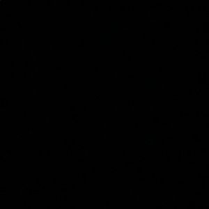 Meet your Posher, Sheree